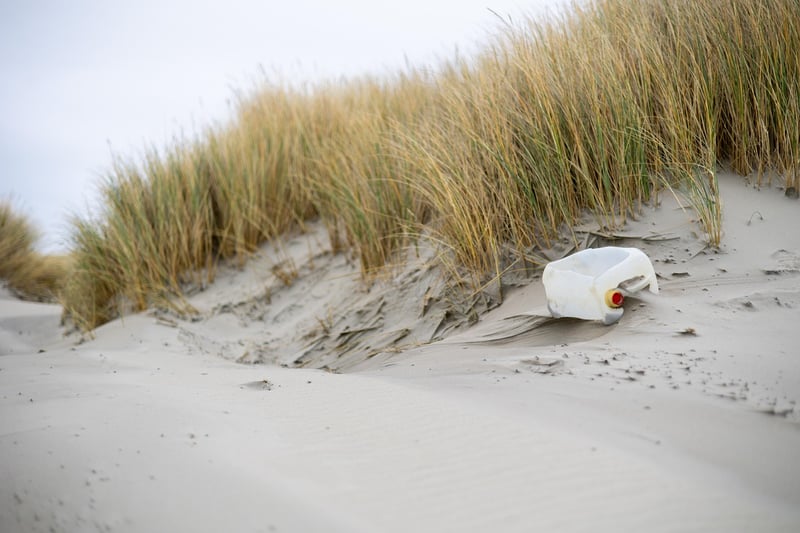 Plastic Alternatives